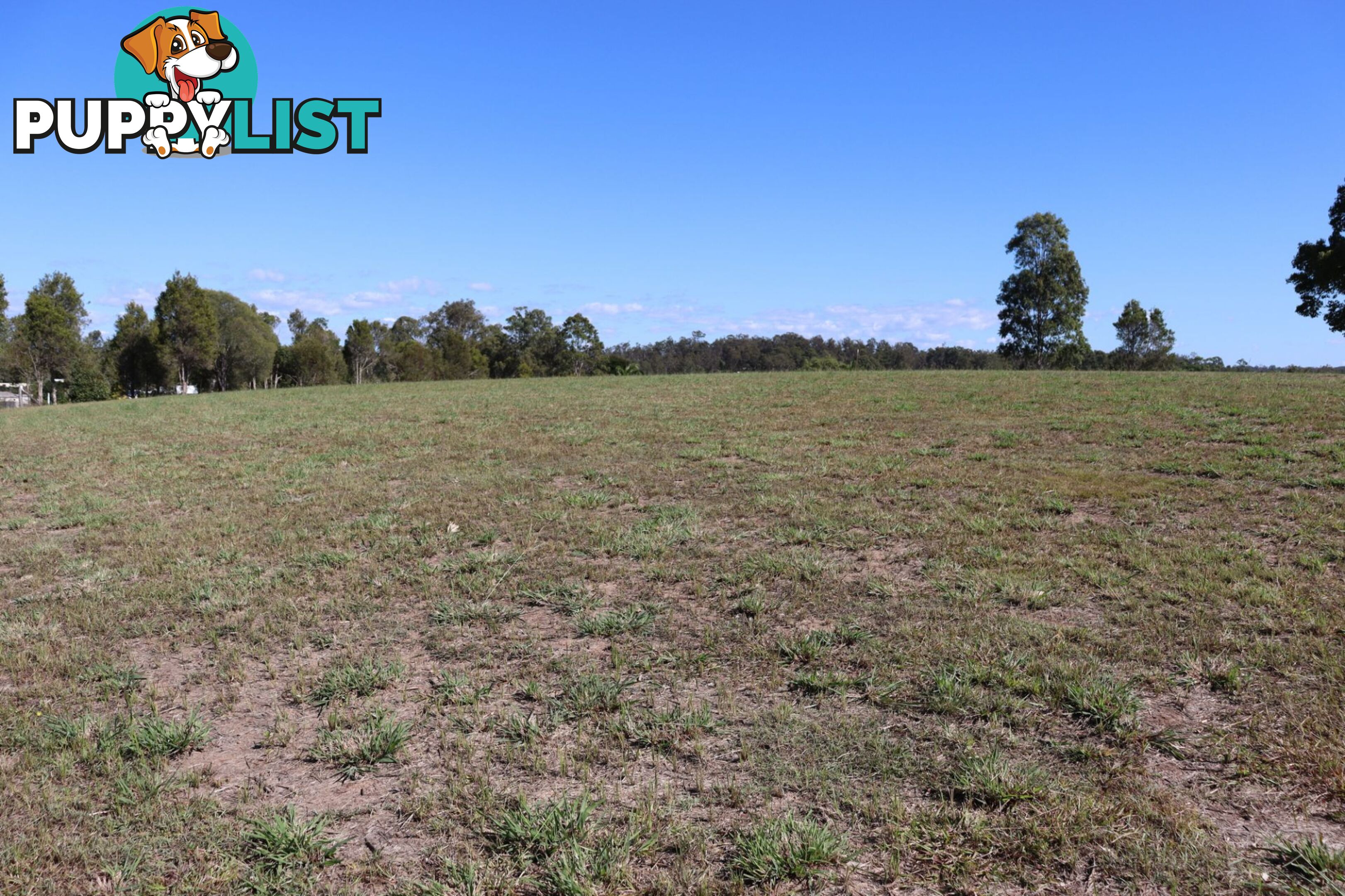 Lot 4 "Acres on Taylor" Veteran QLD 4570