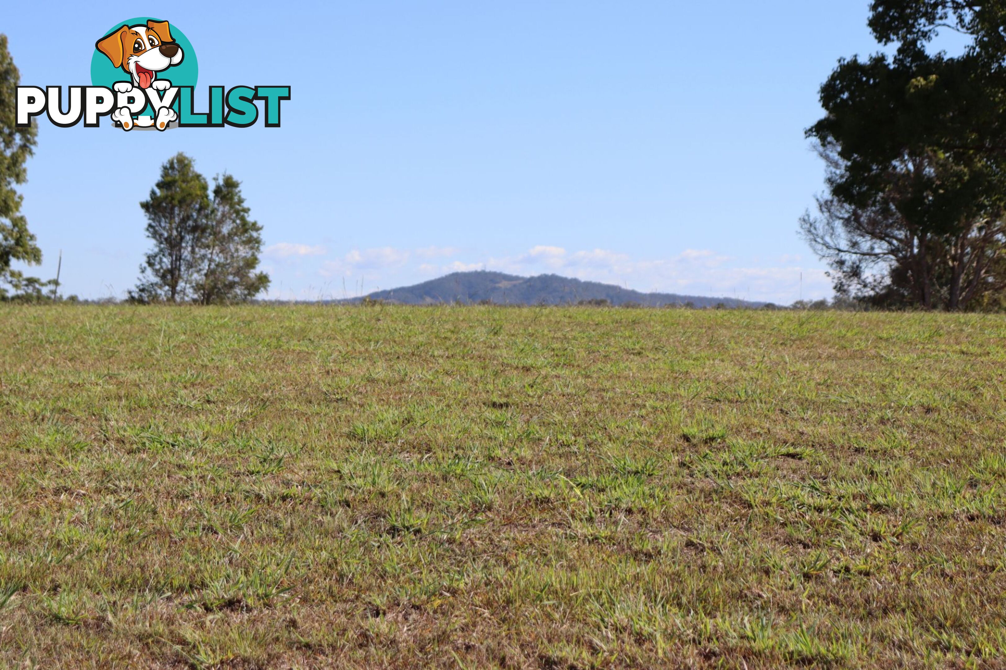 Lot 4 "Acres on Taylor" Veteran QLD 4570