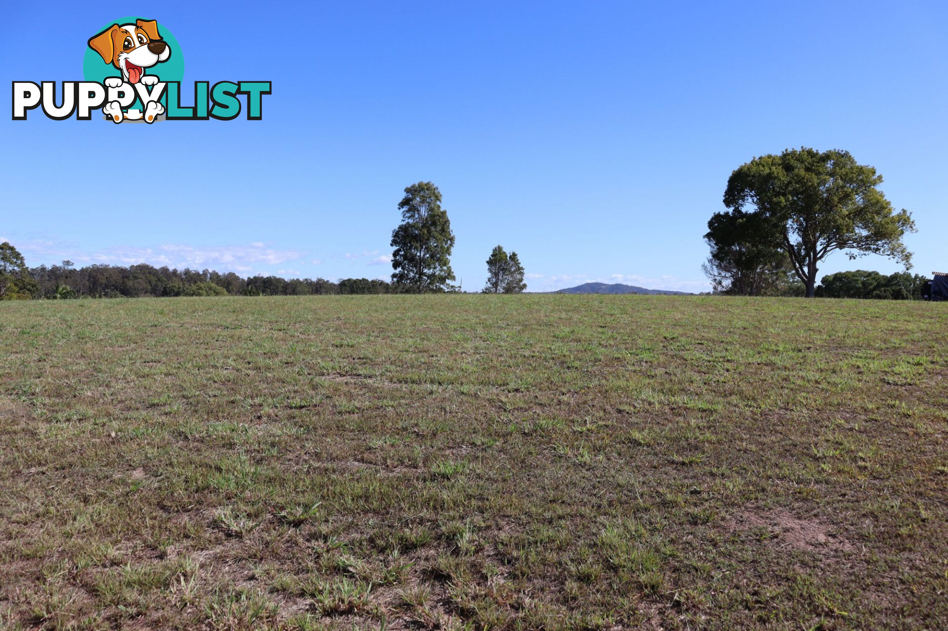 Lot 4 "Acres on Taylor" Veteran QLD 4570