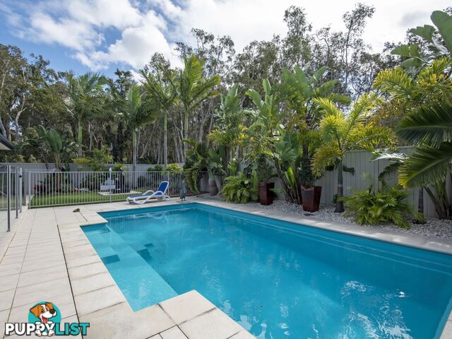 8 Marmont Street Pelican Waters QLD 4551