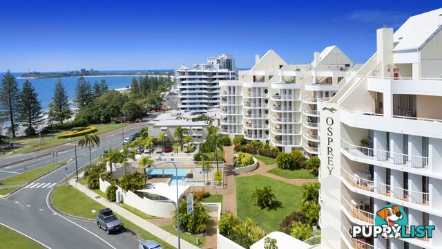 11 1-3 Buderim Avenue Mooloolaba QLD 4557