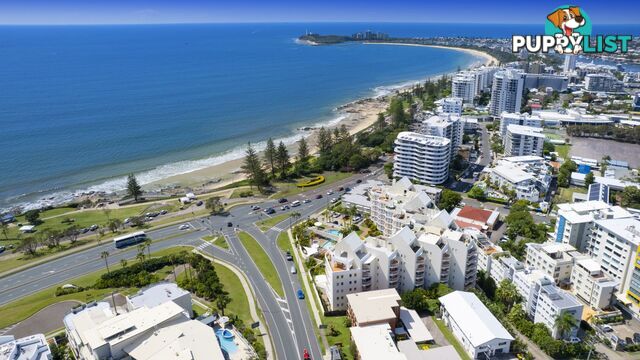 11 1-3 Buderim Avenue Mooloolaba QLD 4557