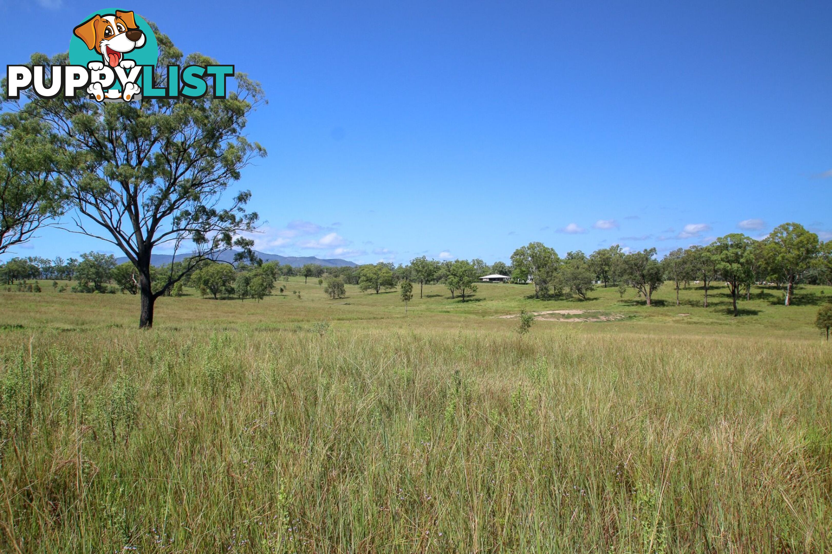 Boyne Valley QLD 4680