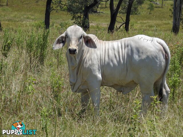 Boyne Valley QLD 4680