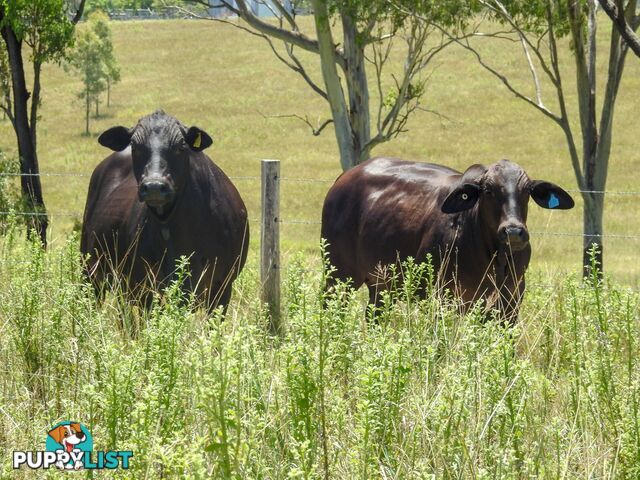 Boyne Valley QLD 4680