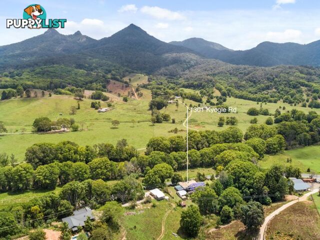 1301 Kyogle Road Uki NSW 2484