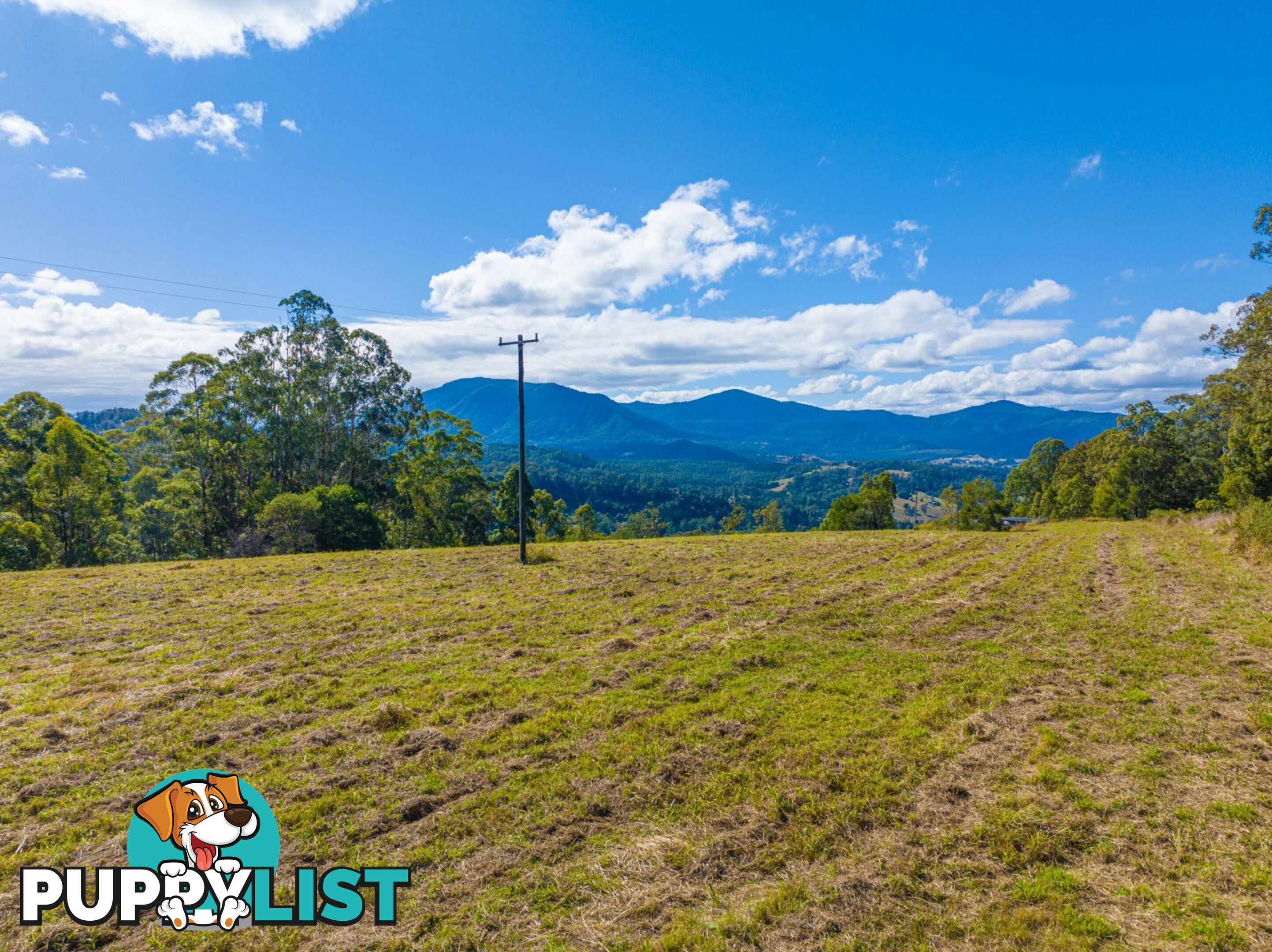 711 Mountain Top Road NIMBIN NSW 2480