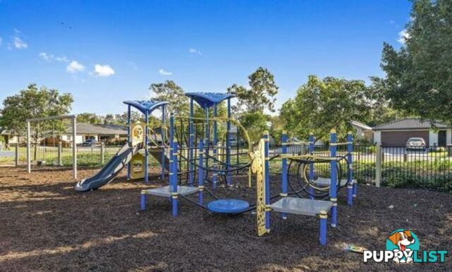 58 Bluestar Circuit Caboolture QLD 4510