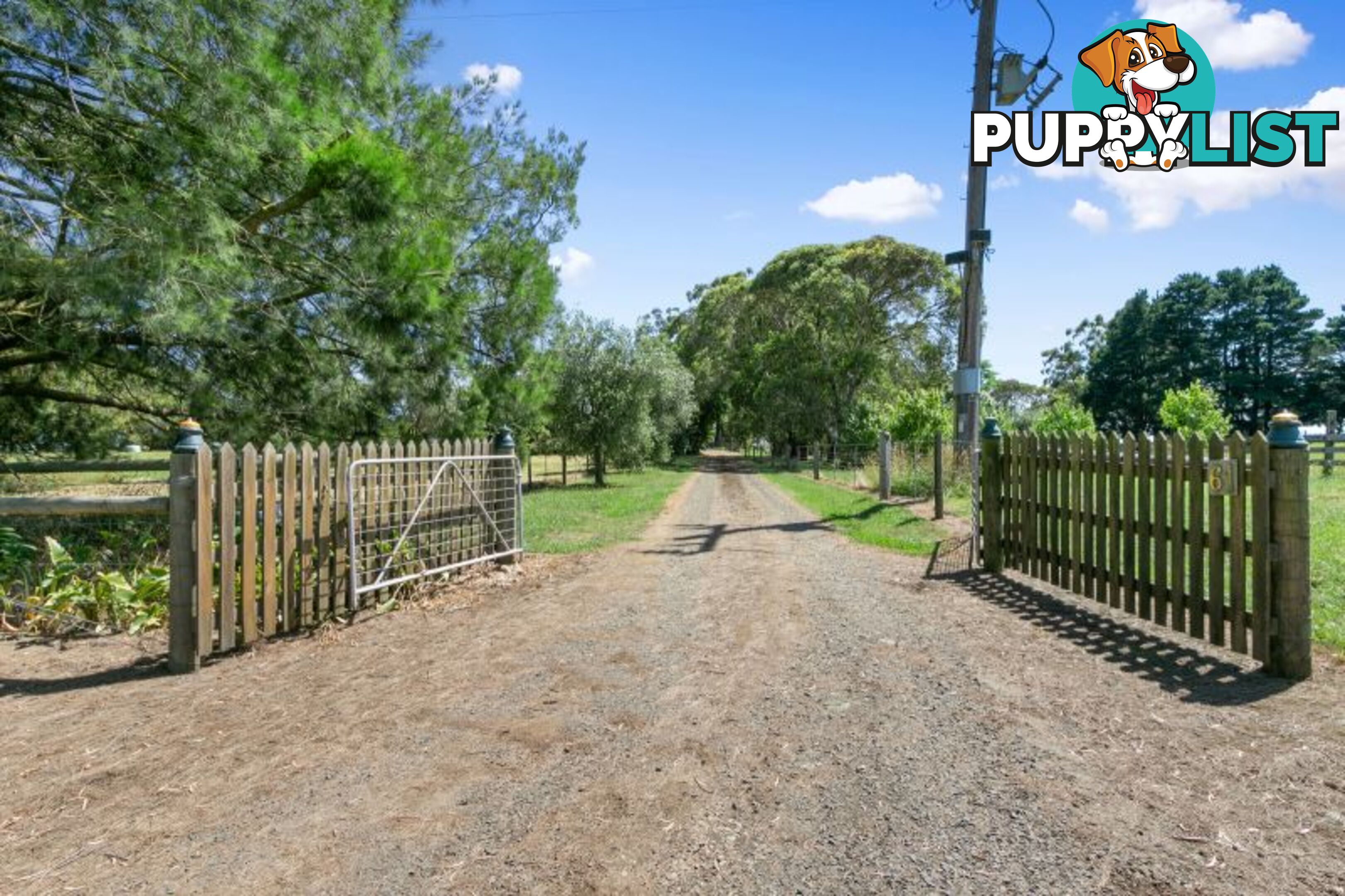 61 Rendell Road Neerim East VIC 3831