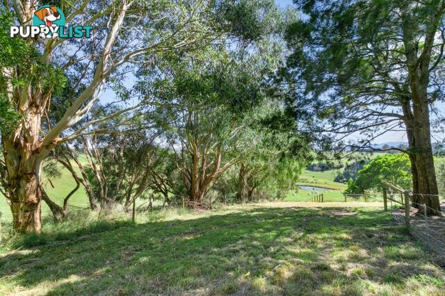 61 Rendell Road Neerim East VIC 3831