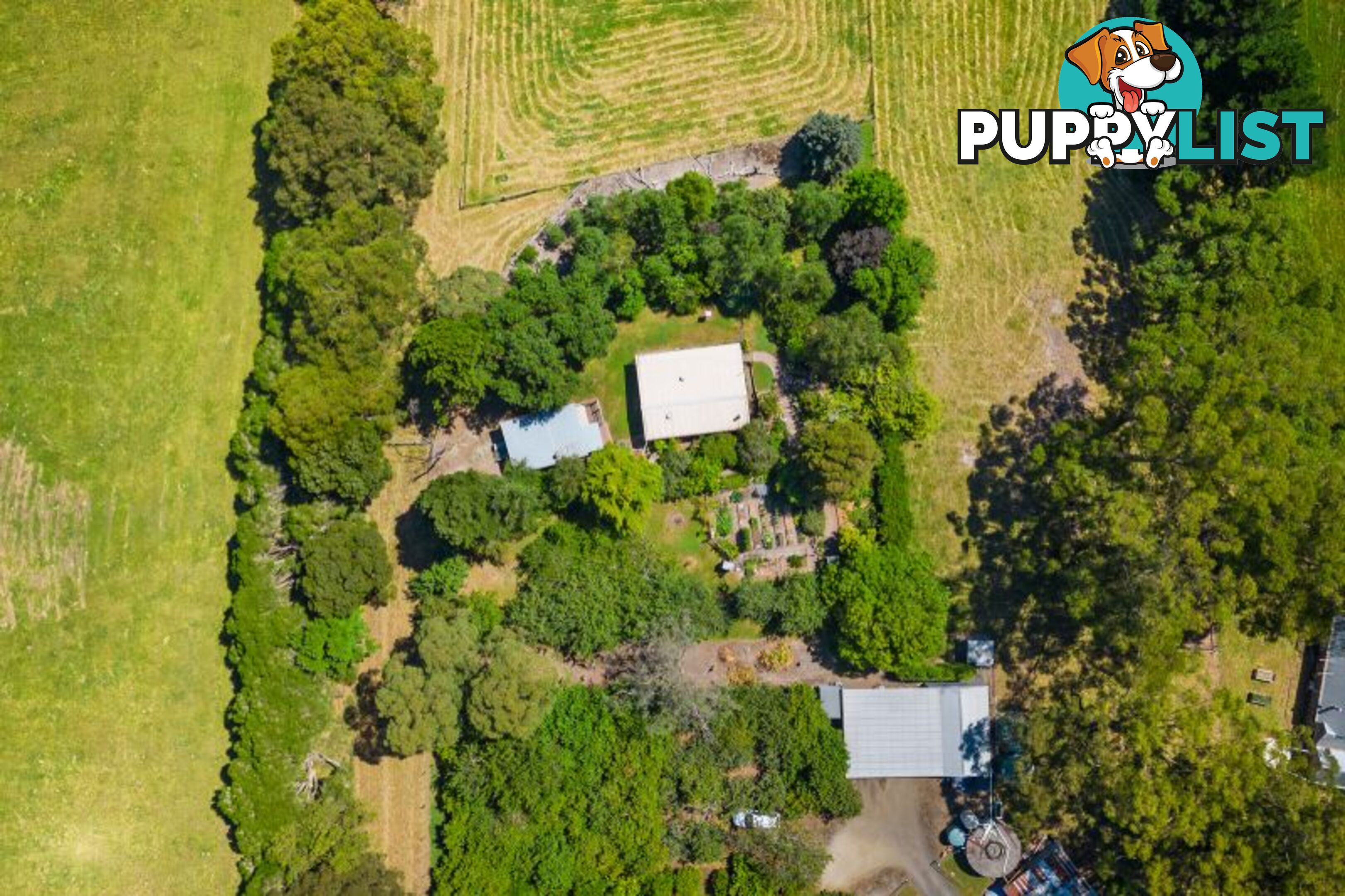 61 Rendell Road Neerim East VIC 3831