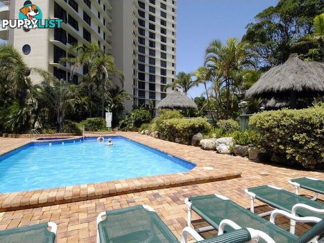 51 4 Thornton Street SURFERS PARADISE QLD 4217