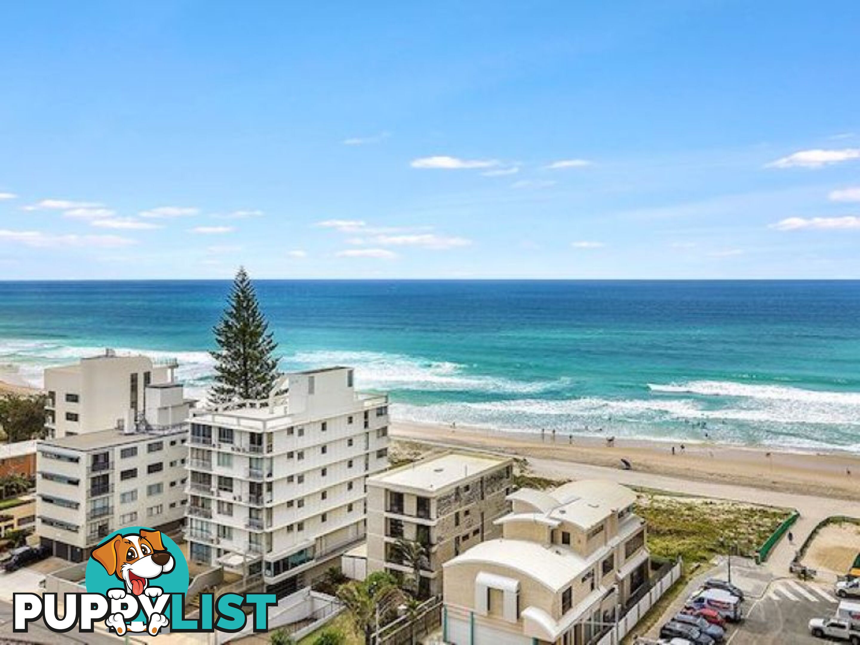 51 4 Thornton Street SURFERS PARADISE QLD 4217