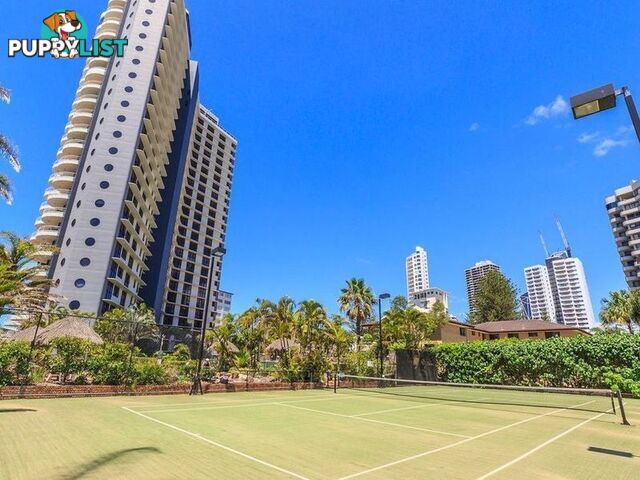 51 4 Thornton Street SURFERS PARADISE QLD 4217