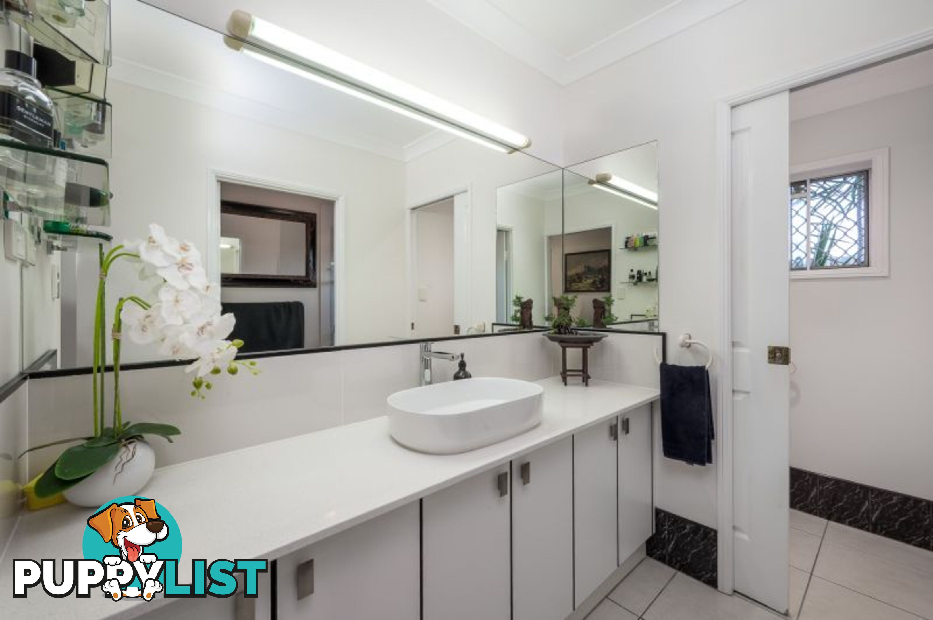 15 Lomond Street Smithfield QLD 4878