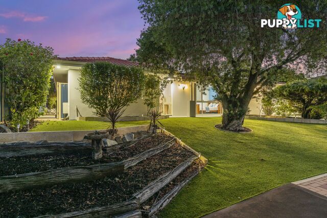 6 Placina Place Willetton WA 6155