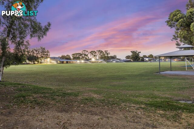 6 Placina Place Willetton WA 6155