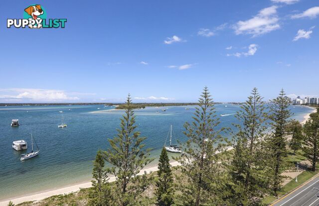 4c 510 Marine Parade Biggera Waters QLD 4216