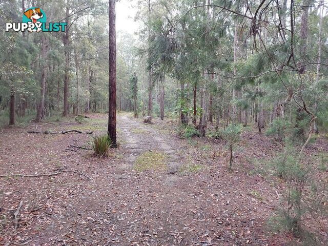 4 Chicks Road Paluma QLD 4816