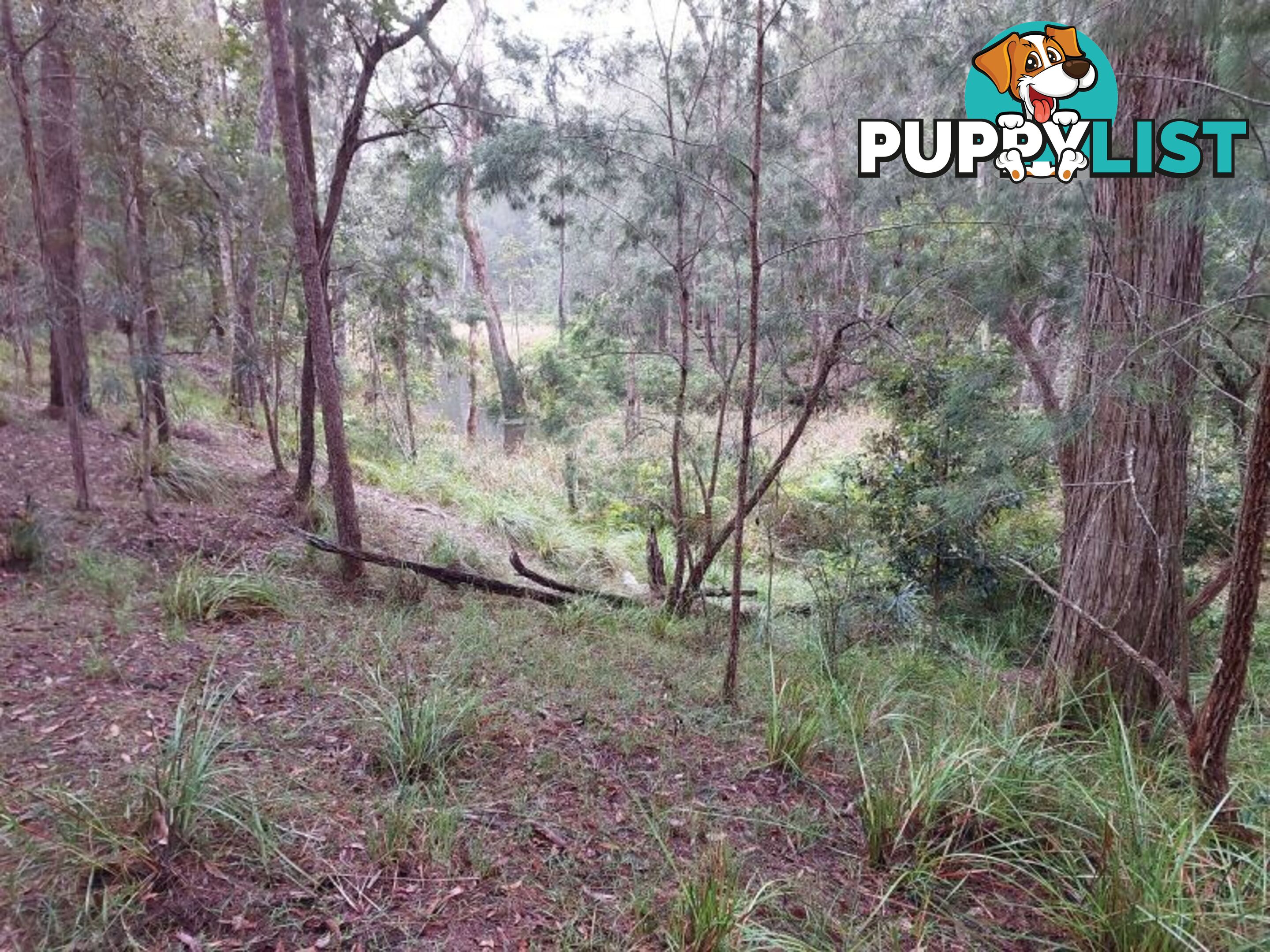 4 Chicks Road Paluma QLD 4816