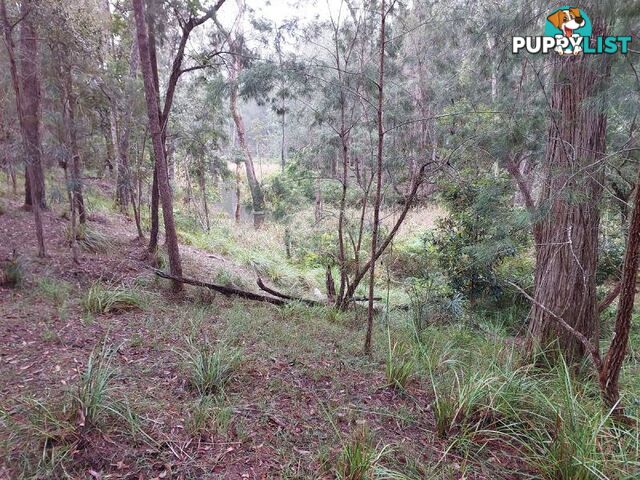 4 Chicks Road Paluma QLD 4816