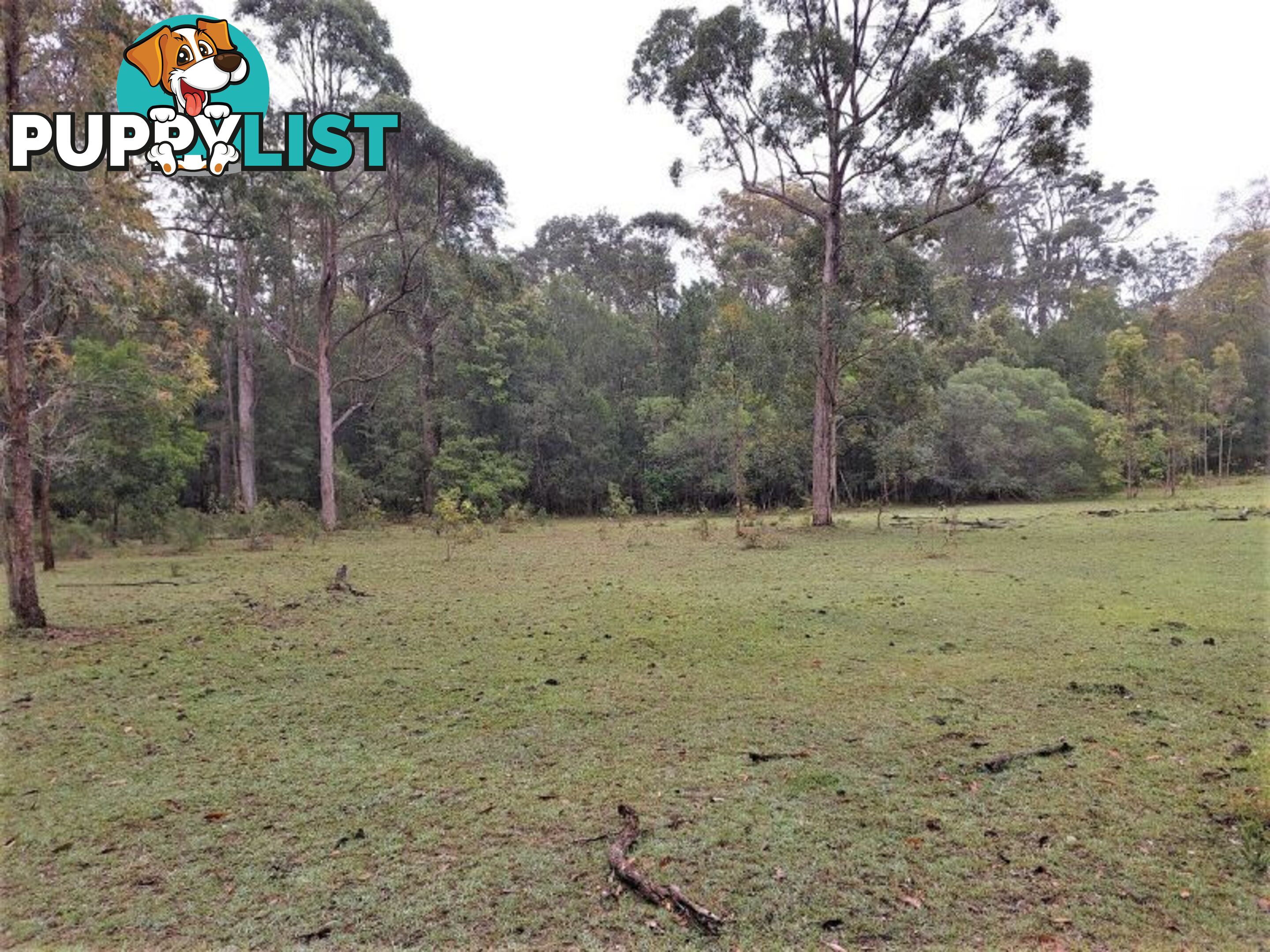 4 Chicks Road Paluma QLD 4816