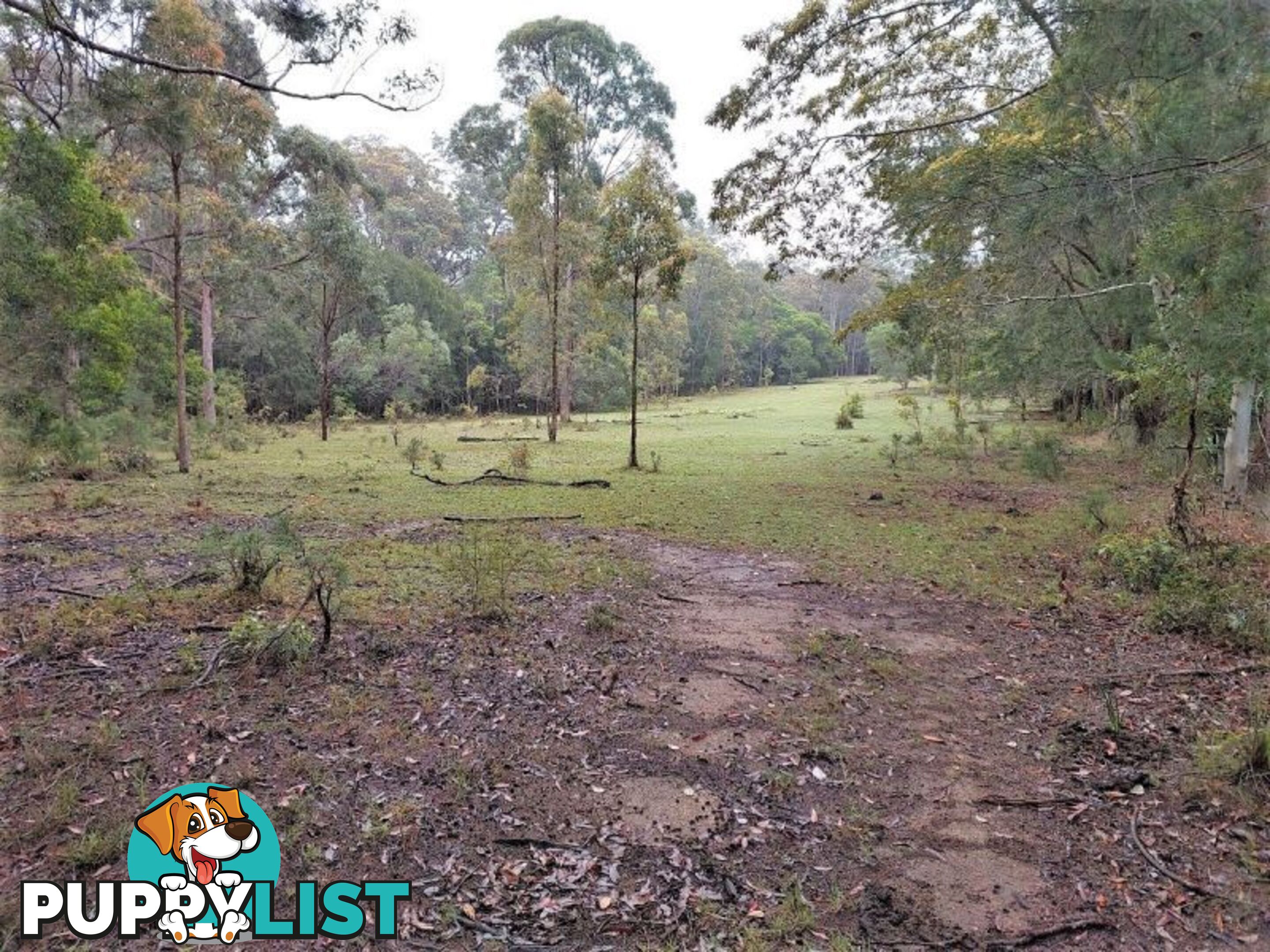 4 Chicks Road Paluma QLD 4816