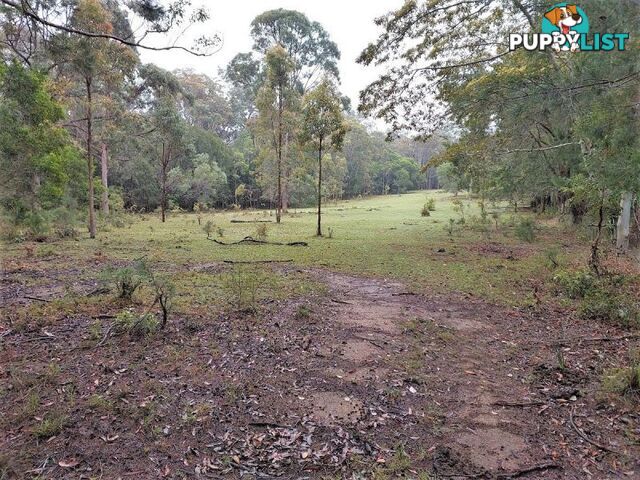 4 Chicks Road Paluma QLD 4816