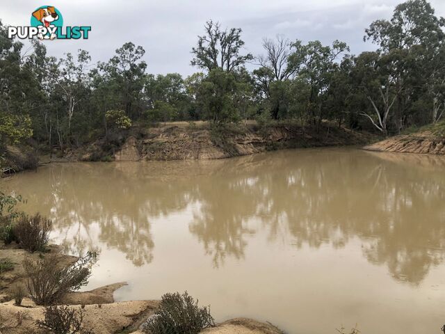 0/0 Shellytop Road Durong QLD 4610