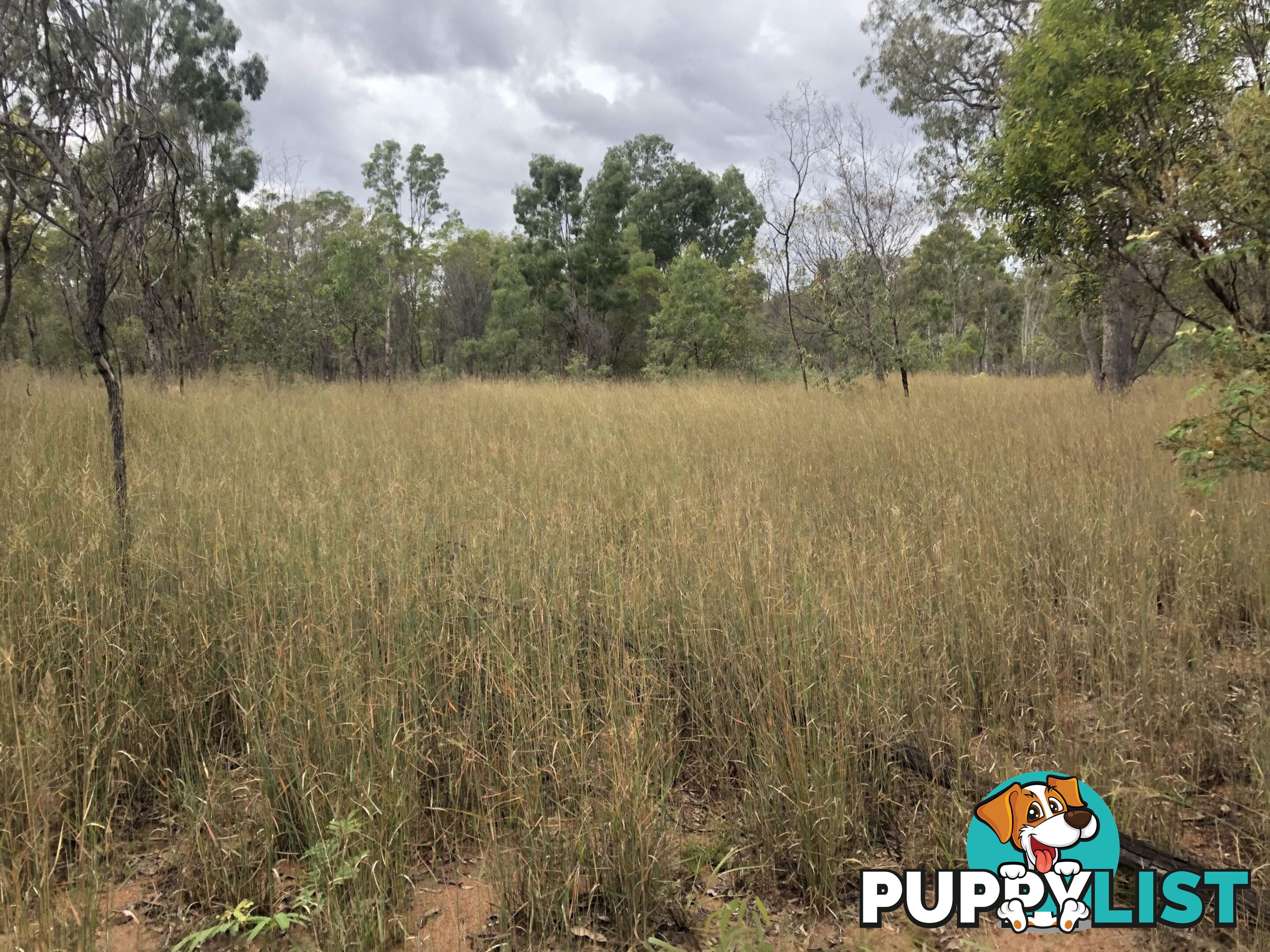 0/0 Shellytop Road Durong QLD 4610