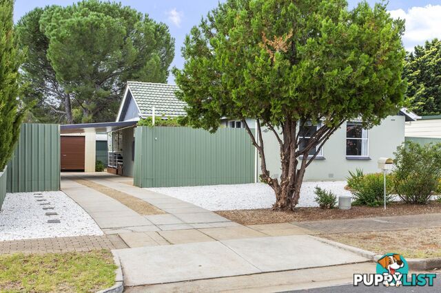 15 Lindsay Street Elizabeth Downs SA 5113