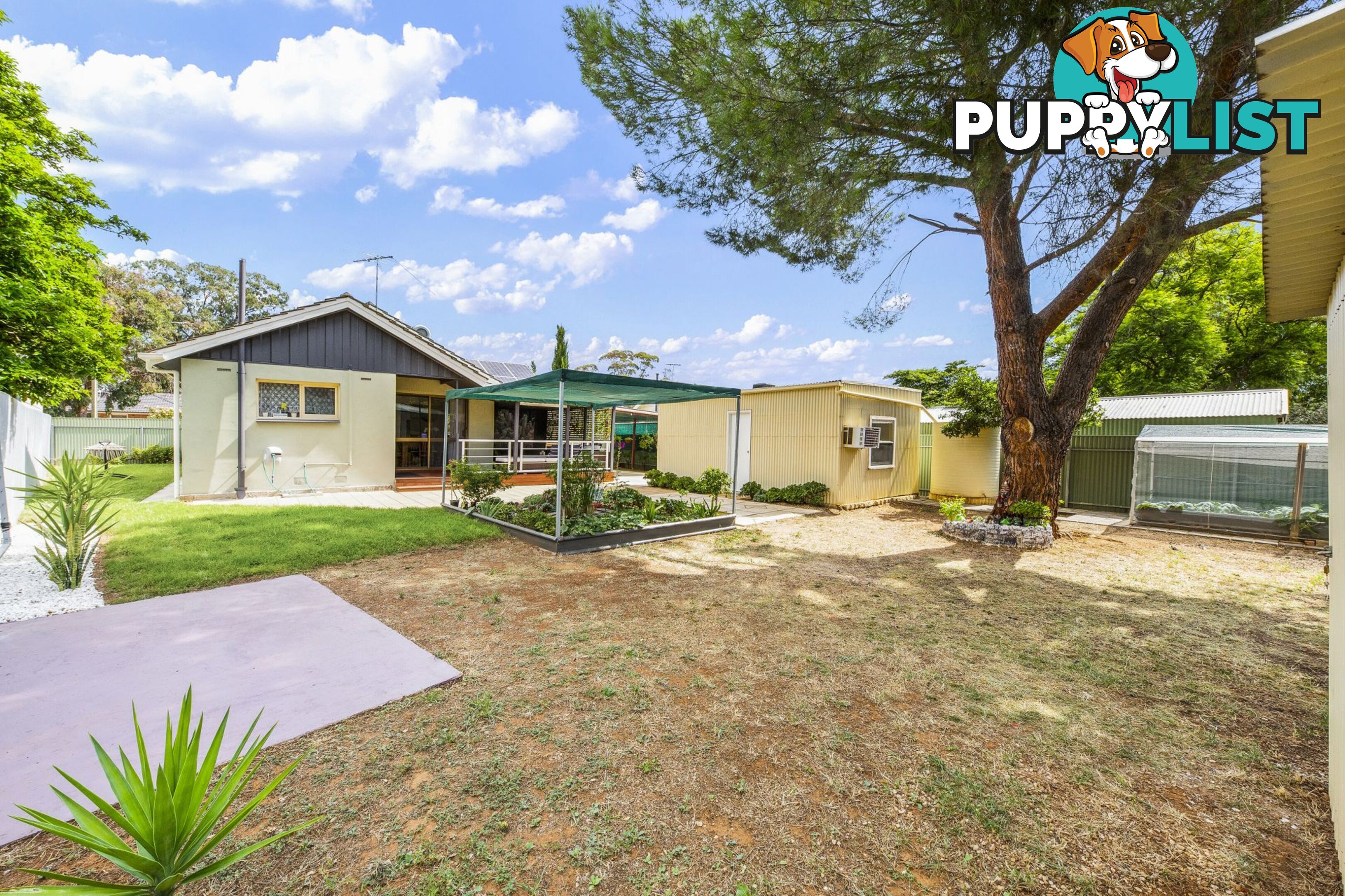 15 Lindsay Street Elizabeth Downs SA 5113