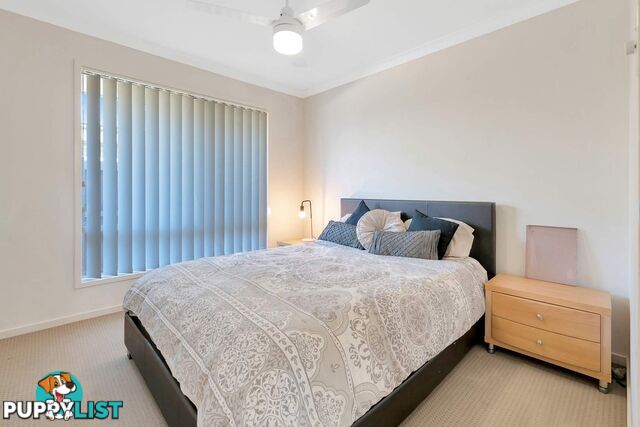 38 Cirrus Way Coomera QLD 4209