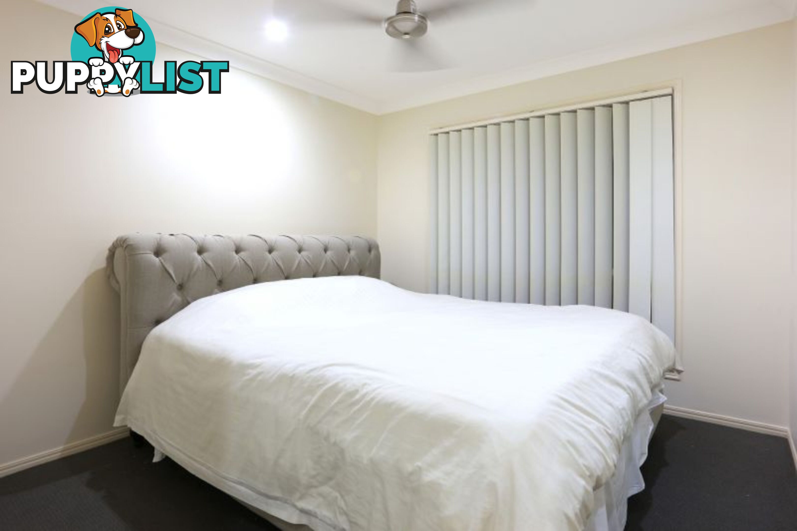 2 Hasemann Crescent Upper Coomera QLD 4209