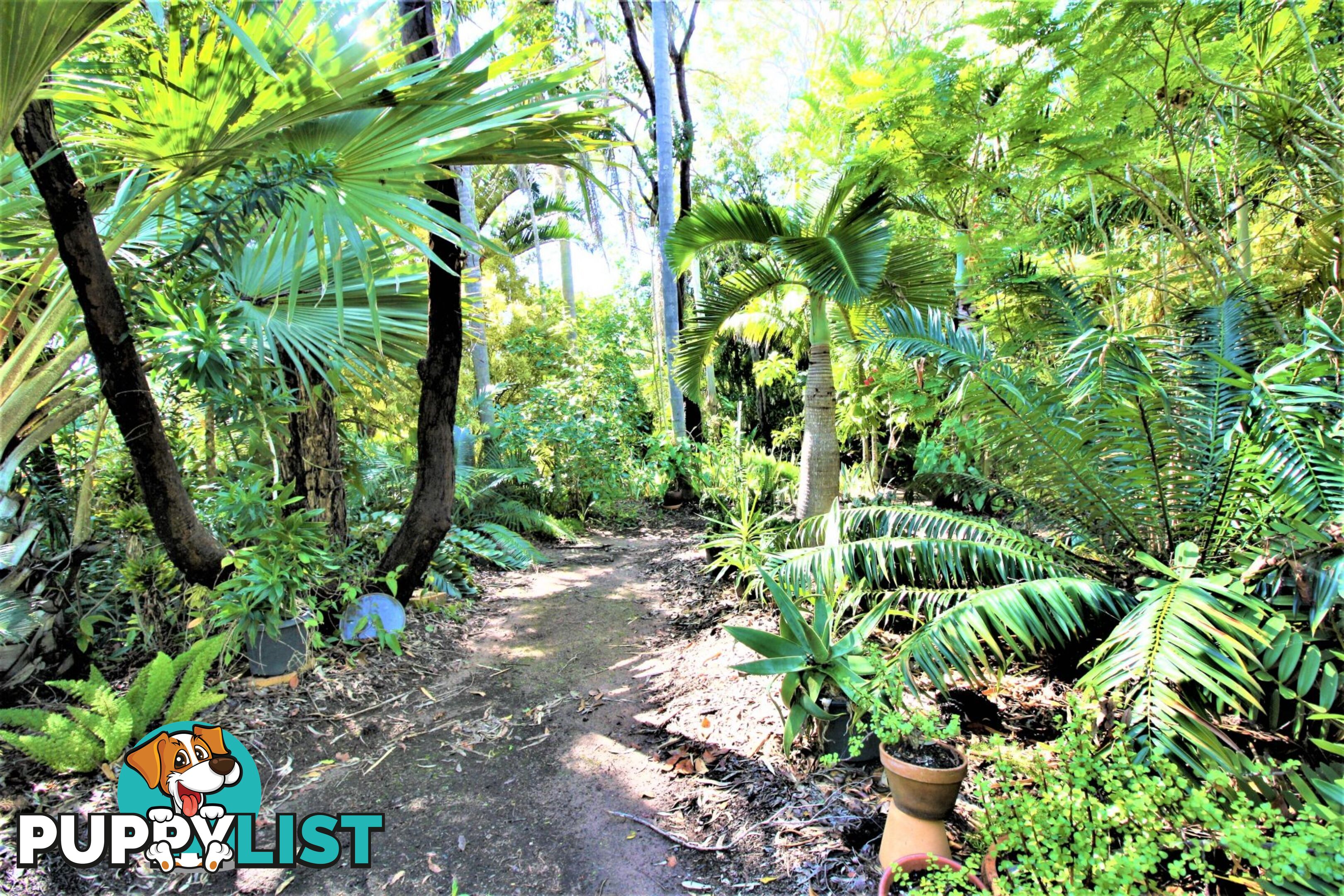 45 Pleasant Drive Sharon QLD 4670