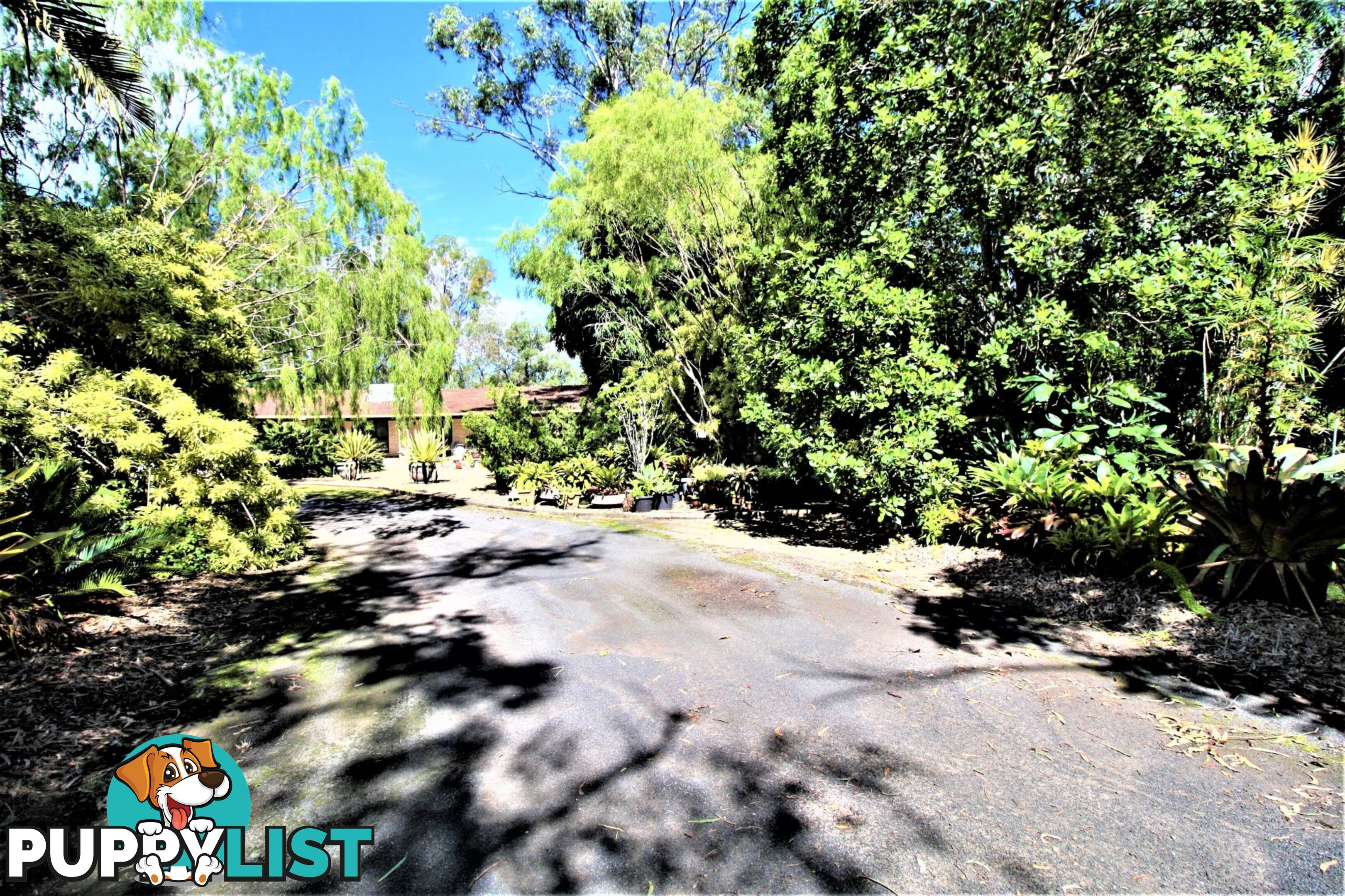 45 Pleasant Drive Sharon QLD 4670