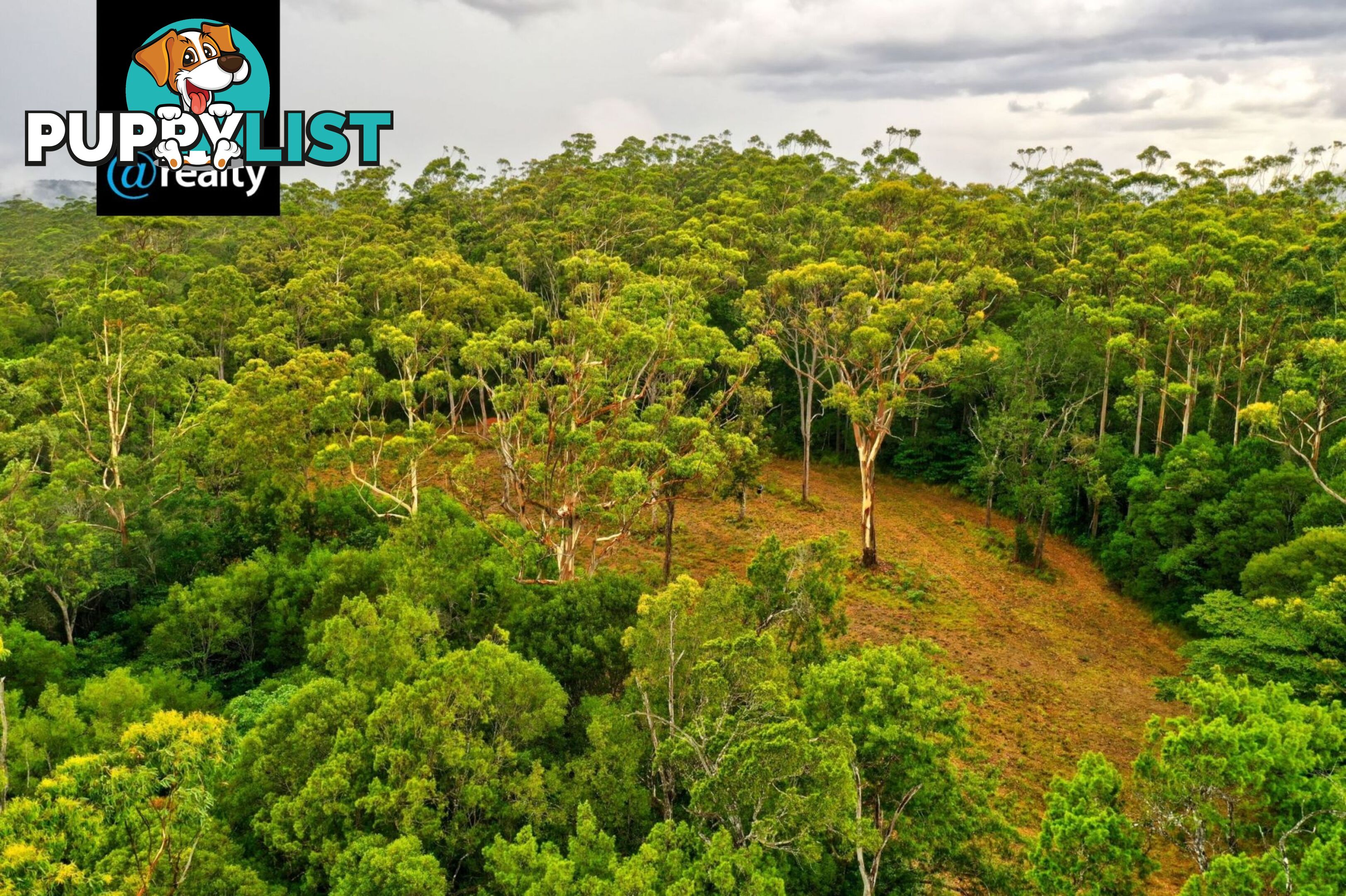 109 Gold Coast Rd Ravenshoe QLD 4888