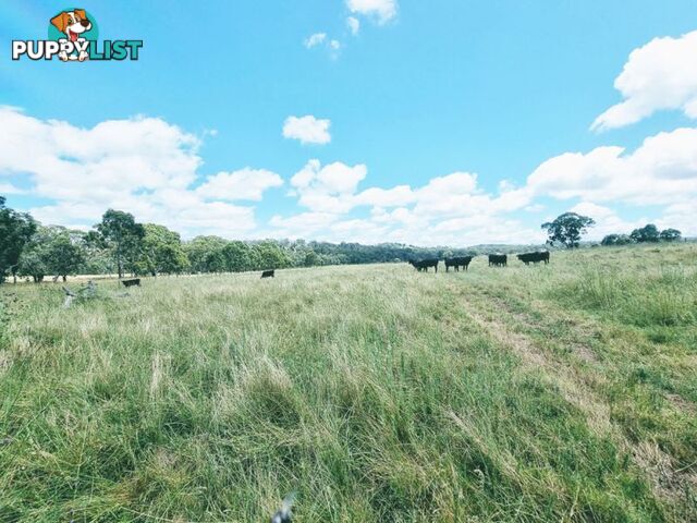 lot 116 Cronin Road Cabarlah QLD 4352