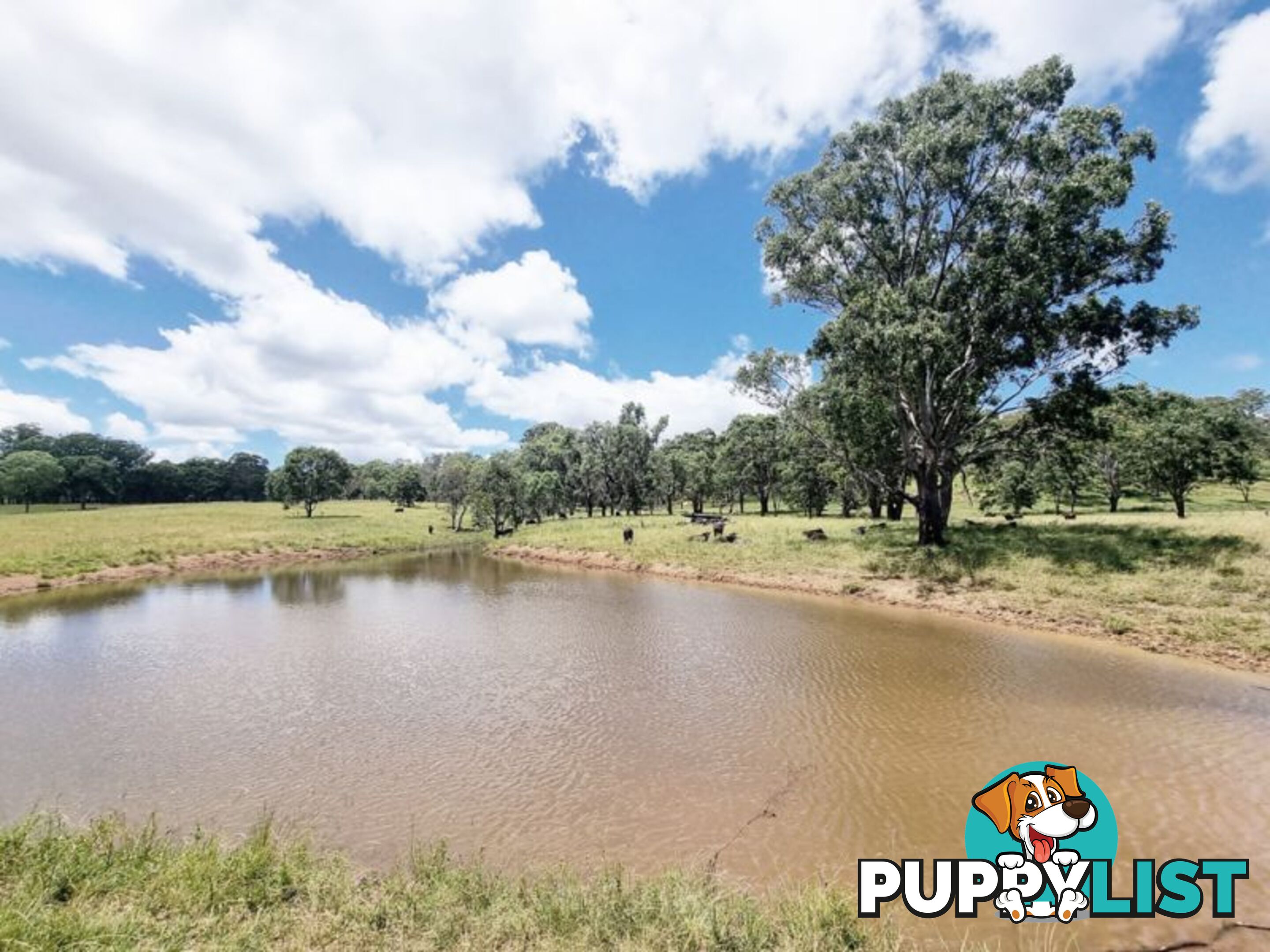 lot 116 Cronin Road Cabarlah QLD 4352