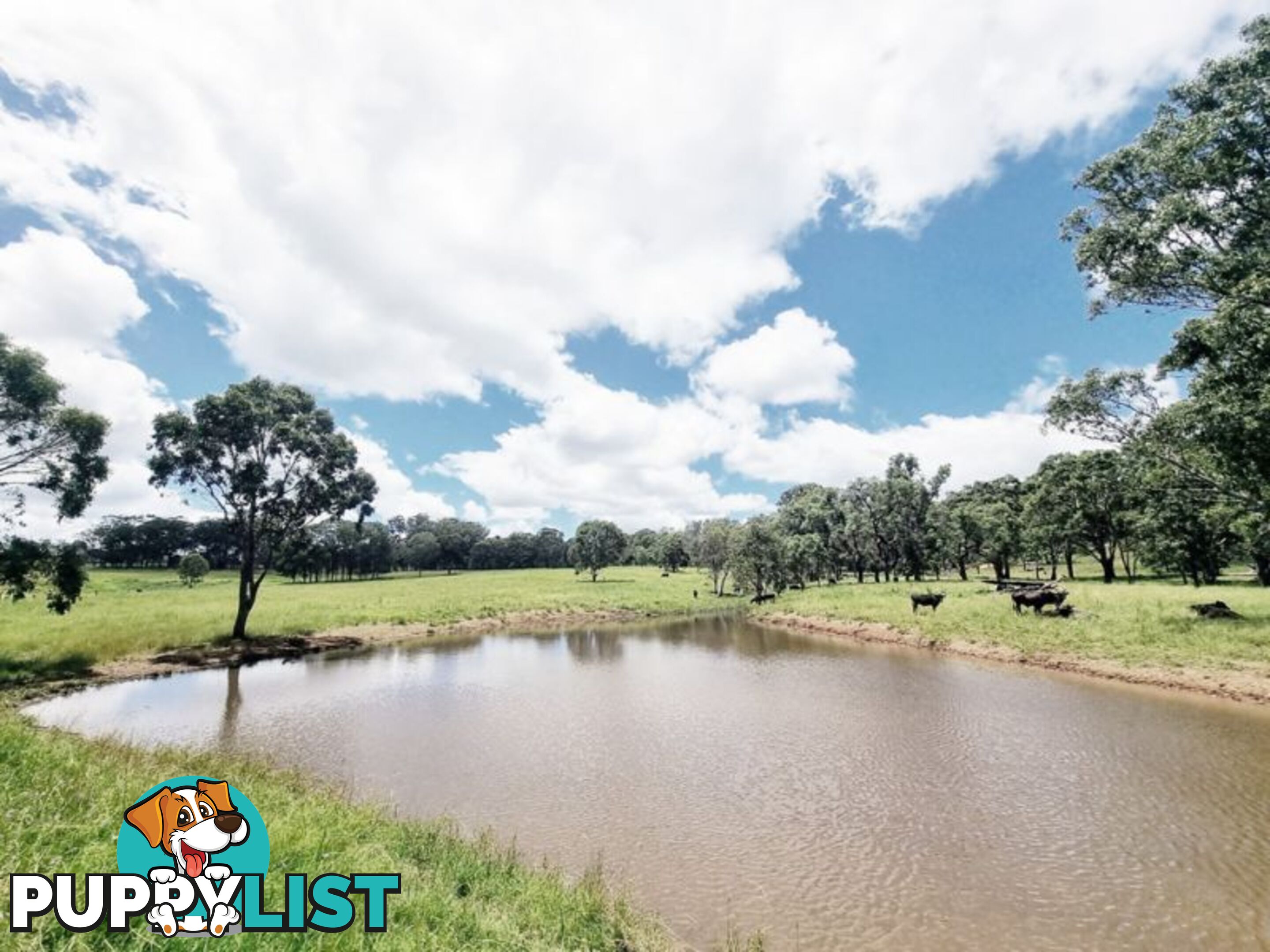 lot 116 Cronin Road Cabarlah QLD 4352