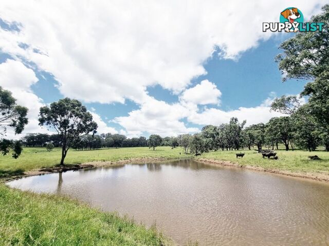 lot 116 Cronin Road Cabarlah QLD 4352