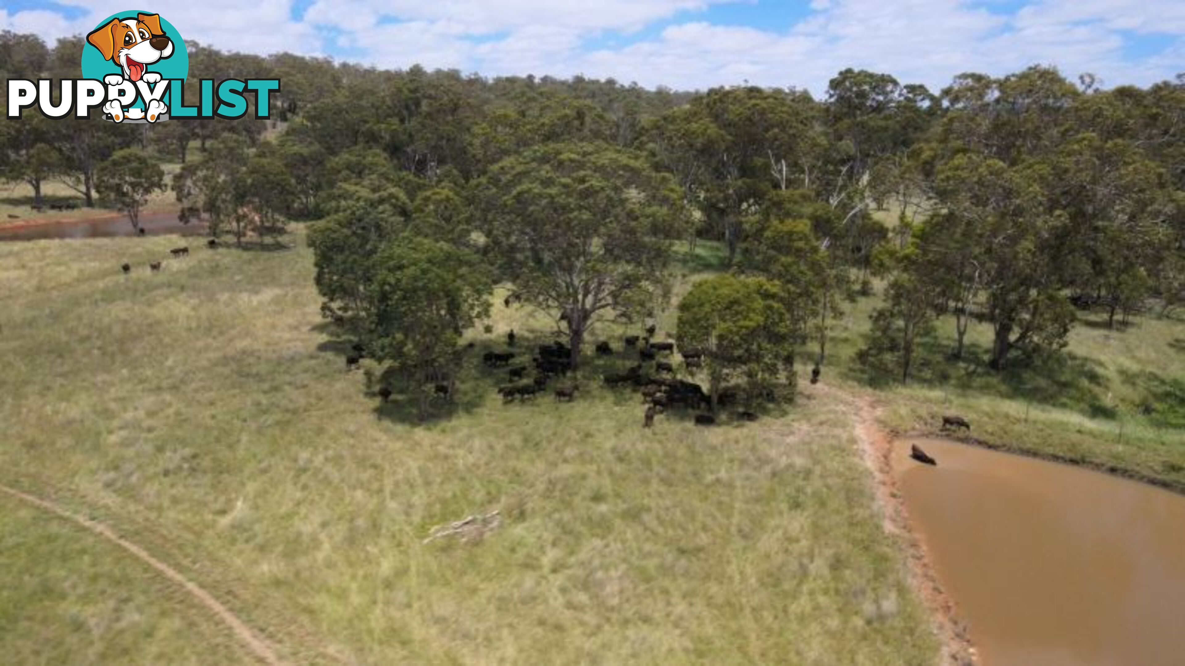 lot 116 Cronin Road Cabarlah QLD 4352