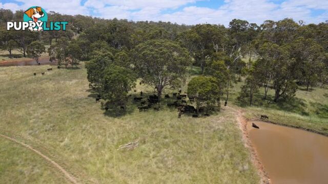 lot 116 Cronin Road Cabarlah QLD 4352