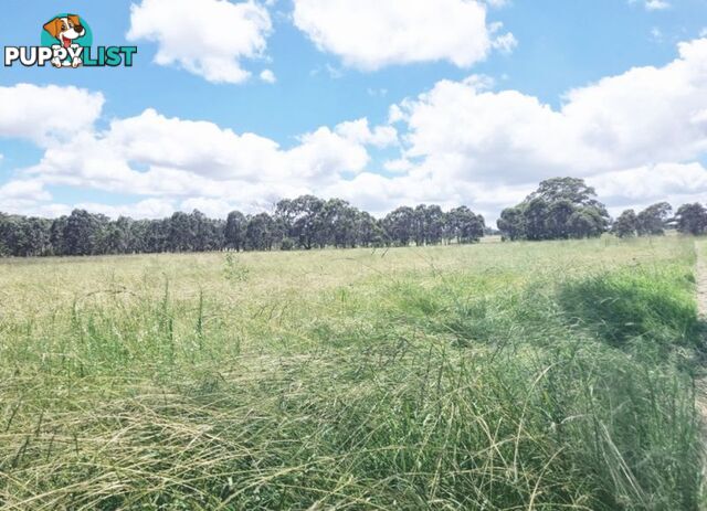 lot 116 Cronin Road Cabarlah QLD 4352