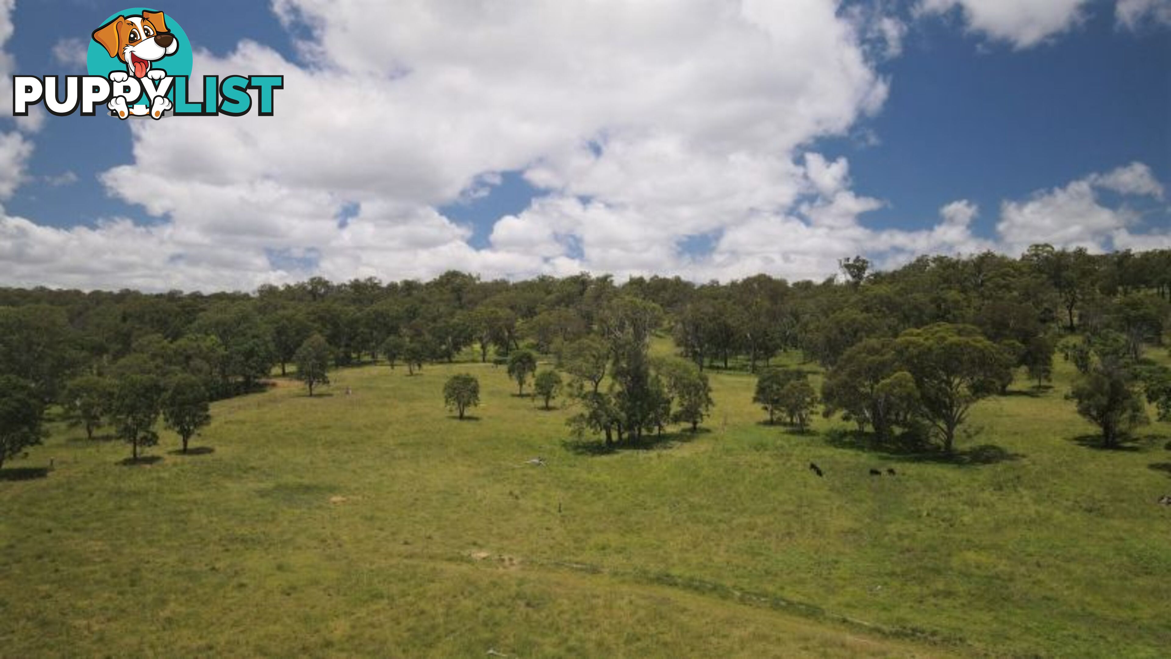 lot 116 Cronin Road Cabarlah QLD 4352