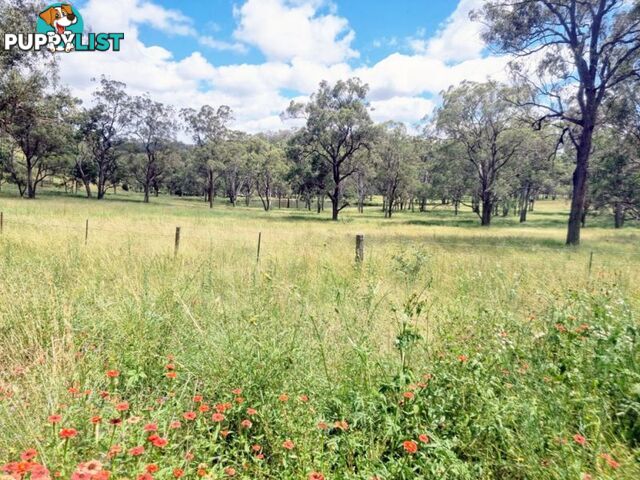 lot 116 Cronin Road Cabarlah QLD 4352