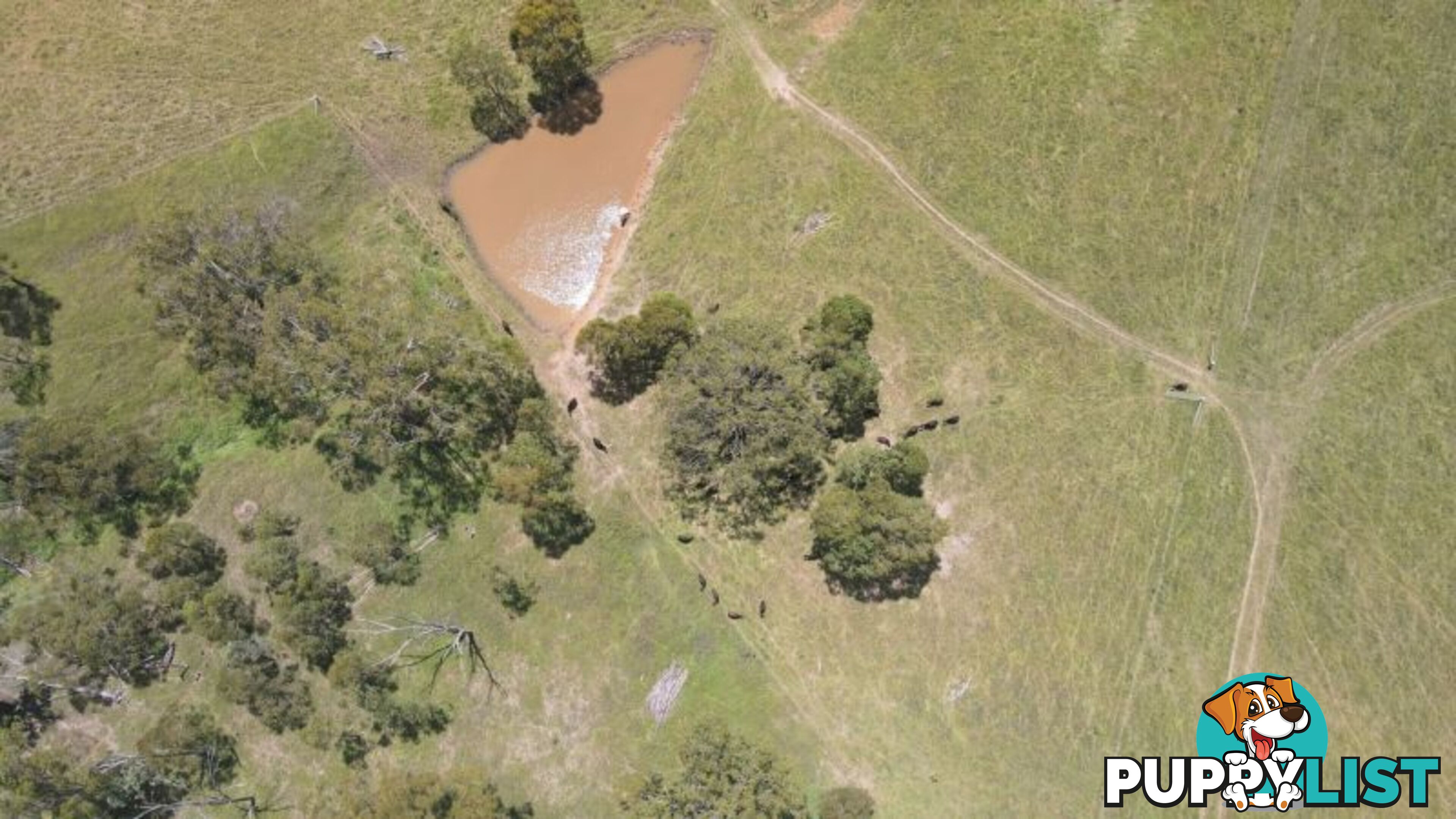 lot 116 Cronin Road Cabarlah QLD 4352