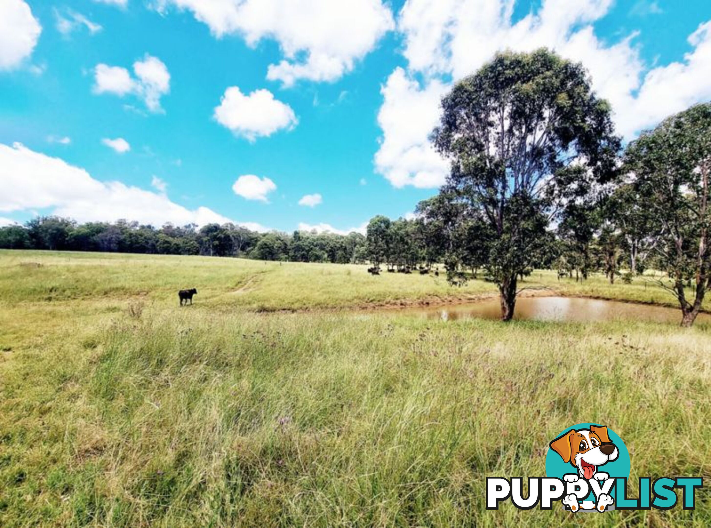 lot 116 Cronin Road Cabarlah QLD 4352