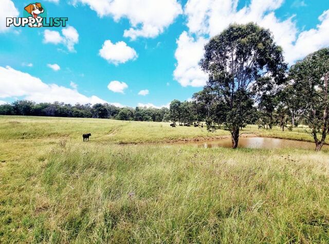 lot 116 Cronin Road Cabarlah QLD 4352