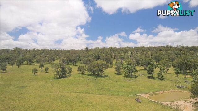 lot 116 Cronin Road Cabarlah QLD 4352